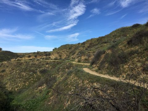 This Just Might Be The Most Serene Trail In All Of Southern California