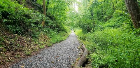 The Mount Airy Rails To Trails Hike In Maryland Is As Easy As It Is Beautiful