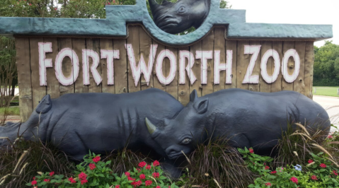 Texas' Fort Worth Zoo Has Been Voted The Best Zoo In The U.S.