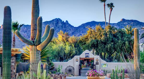 For Nearly 100 Years, Hacienda Del Sol Guest Ranch Resort Has Been Delighting Arizonans With Its Timeless Charm