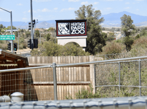 Most People Don’t Know About This Underrated Zoo Hiding In Arizona