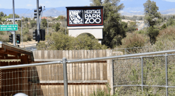 Most People Don’t Know About This Underrated Zoo Hiding In Arizona