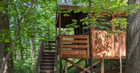 There's A Treehouse Village In Maryland Where You Can Spend The Night