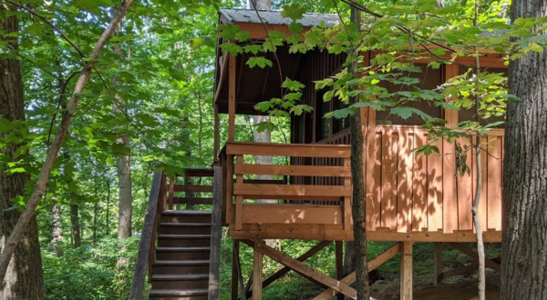 There’s A Treehouse Village In Maryland Where You Can Spend The Night