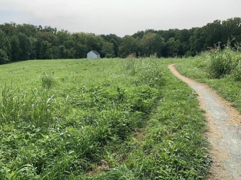 This Short And Sweet Hike In Delaware Is Just 3 Miles Long, And You Can Enjoy It All Year