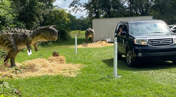 This Drive-Thru Attraction In Maryland Features Life-Size Dinosaurs That Move And Make Sounds