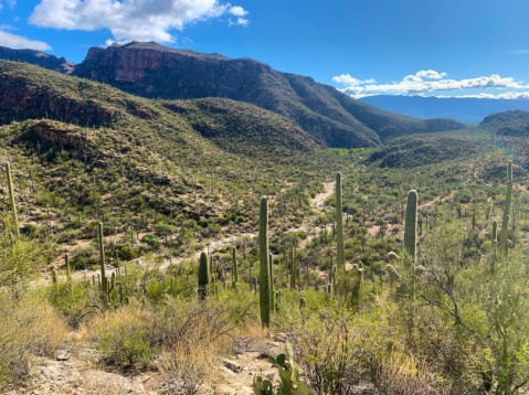 Escape The Daily Grind At Sabino Canyon, One Of Arizona's Most Stunning Natural Wonders