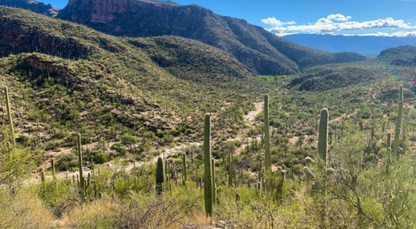 Escape The Daily Grind At Sabino Canyon, One Of Arizona’s Most Stunning Natural Wonders