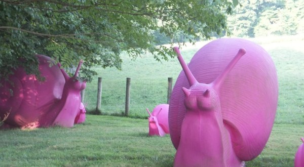 There Are Gigantic Pink Snails On This Historic Bison Farm In Kentucky