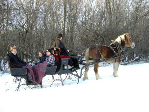 This Illinois Sleigh Ride Takes You Through A Winter Wonderland