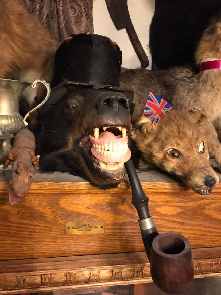 Trundle Manor Taxidermy Pittsburgh