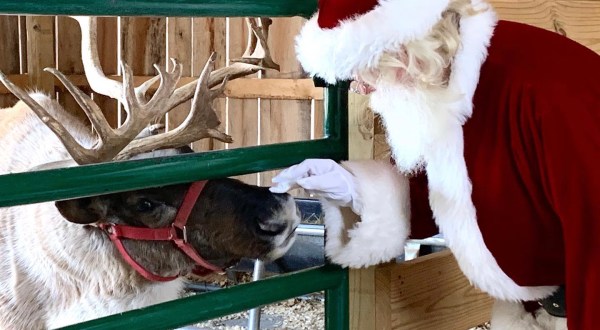 There’s An Enchanting Reindeer Farm In Kentucky That Your Family Can Visit This Year