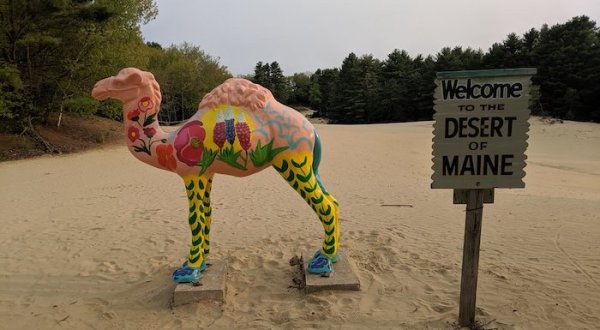 The Desert Of Maine Is One Of The Strangest Places You Can Go In Maine