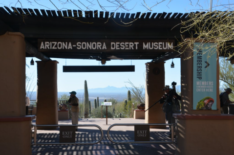 The Arizona-Sonora Desert Museum Has Been Voted The 8th-Best Zoo In The U.S.