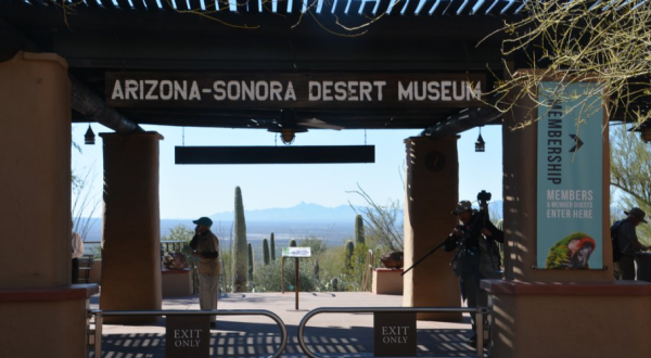 The Arizona-Sonora Desert Museum Has Been Voted The 8th-Best Zoo In The U.S.