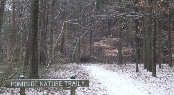 A Brisk Walk Through The Scenic Killens Pond State Park In Delaware Is Sure To Show You The Beauty Of Winter