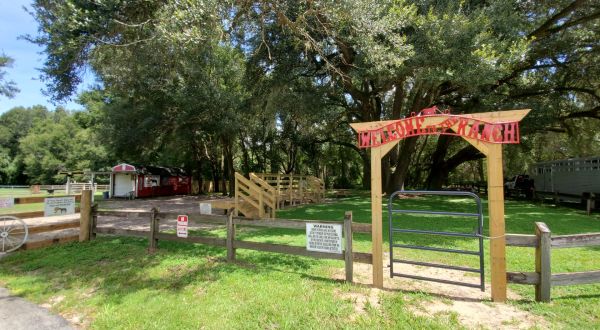 Enjoy An Incredible Trail Ride In Florida At Cactus Jack’s In The Horse Capital Of The World