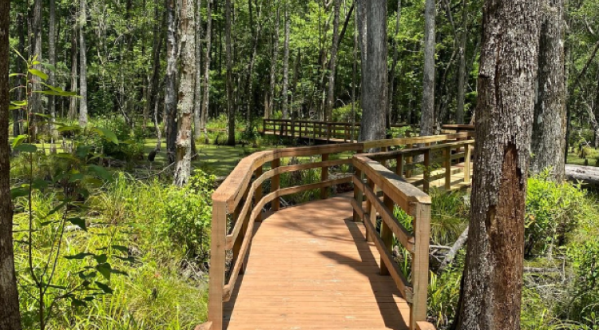 An Expansive Preserve With Boardwalk Trails And Natural Paths, Caw Caw Interpretive Center In South Carolina Is A Must-Visit