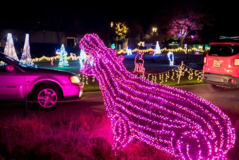 Oregon's Enchanting Zoo Lights Holiday Drive-Thru Is Sure To Delight