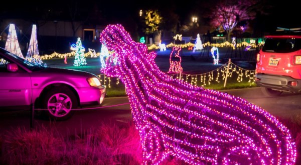 Oregon’s Enchanting Zoo Lights Holiday Drive-Thru Is Sure To Delight