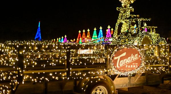 The 30-Acre Farm In Southern California, Tanaka Farms, That’s All Aglow With Thousands Of Twinkly Lights