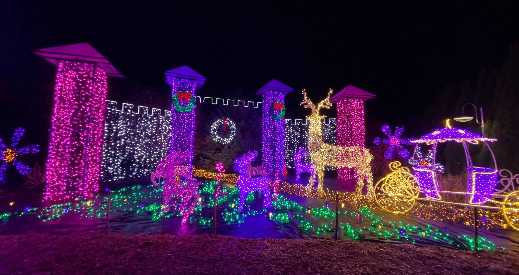 Walk Through The Twinkling Holiday Lights At Oregon Garden Resort