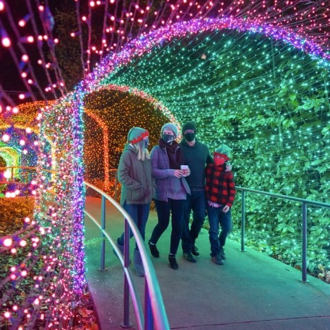 Garden Lights, Holiday Nights In Georgia Will Make You Feel Like You're In The North Pole