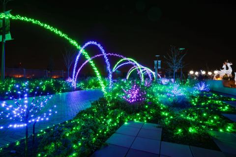 Walk Through An Illuminated Botanical Garden At Gardens Aglimmer In Kentucky