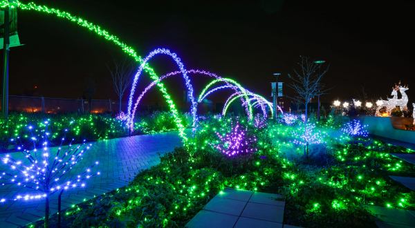 Walk Through An Illuminated Botanical Garden At Gardens Aglimmer In Kentucky