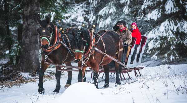 Take A Ride Through The Snowy Forest On A Two-Horse Open Sleigh At Western Pleasure Guest Ranch In Idaho