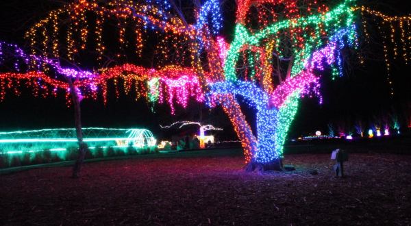 The Garden Christmas Light Displays At Overland Park Arboretum In Kansas Is Pure Holiday Magic