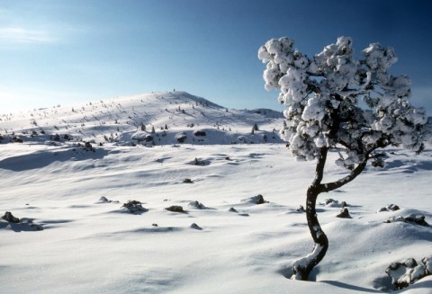 Spend A Picture Perfect Day This Winter At Craters Of The Moon National Monument In Idaho