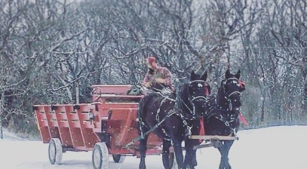 Take A Horse-Drawn Sleigh Ride Through A Winter Wonderland In Iowa At Jester Park