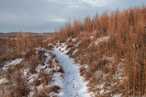 Horse Thief Trail Is A 2-Mile Kansas Hike That's Surprisingly Beautiful In The Wintertime