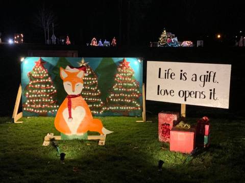 Drive Through The Free, Magical Christmas In The Park Near Pittsburgh