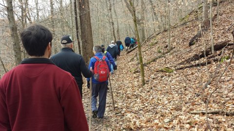 Join One Of These 8 First-Day Hikes Happening At West Virginia's State Parks On January 1, 2021