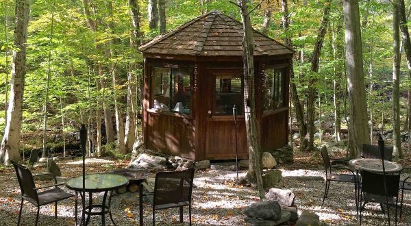 Cozy Up In A Cedar Cabin At Water Forest Retreat, An Enchanting Airbnb In Connecticut