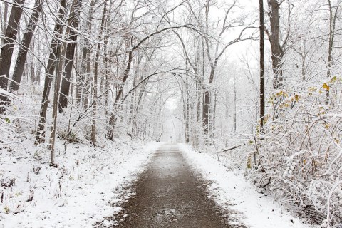 Nichols Arboretum In Michigan Is The Most Picturesque Place For A Winter Walk