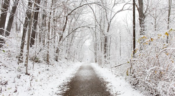 Nichols Arboretum In Michigan Is The Most Picturesque Place For A Winter Walk