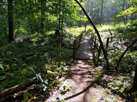 The Braille Trail, An ADA-Accessible Trail In Pittsburgh, Is A Hike Everyone Will Enjoy