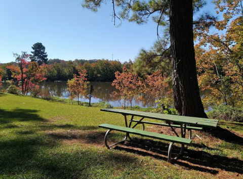 With Over 150 Acres, It's No Wonder Kiroli Park Is One Of The Best Parks In Louisiana