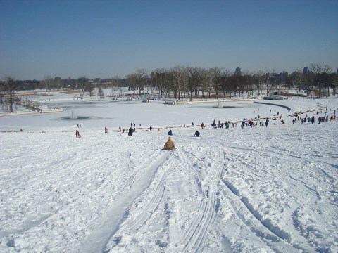 You'll Feel Like A Kid Again When You Sled Down One Of Missouri's Best Winter Spots, Art Hill at Forest Park