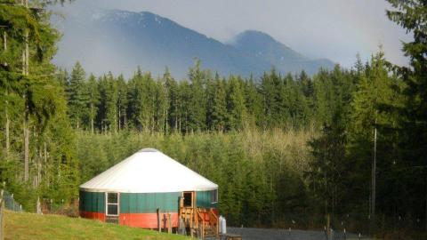 There's A Glamping Yurt On This Alpaca Farm In Washington And You Simply Have To Visit