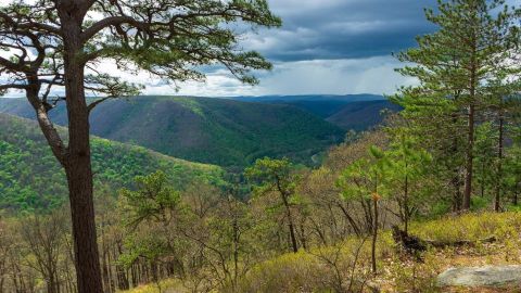 Sweeping Views Await Along The Beautiful Fred Woods Trail In Pennsylvania