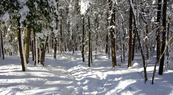 7 Cool And Calming Hikes To Take In Massachusetts To Help You Reflect On The Year Ahead