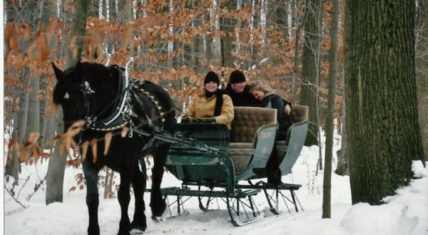 See The Majestic Maple Woods In Ohio On This Delightful Two-Horse Open Sleigh Ride