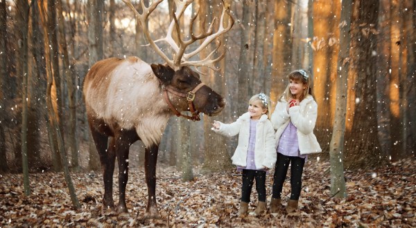 Visit With A Real, Live Reindeer For The Ultimate Christmas Adventure In West Virginia