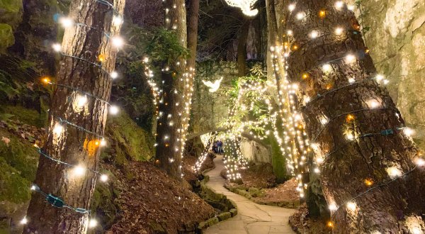 Dazzling Lights And Epic Views At Rock City’s Enchanted Garden Of Lights In Tennessee Will Leave You Speechless