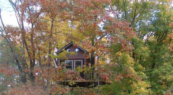 Sleep Among Towering Red Maple And White Oak Trees At The Maple Oak Treehouse In Illinois