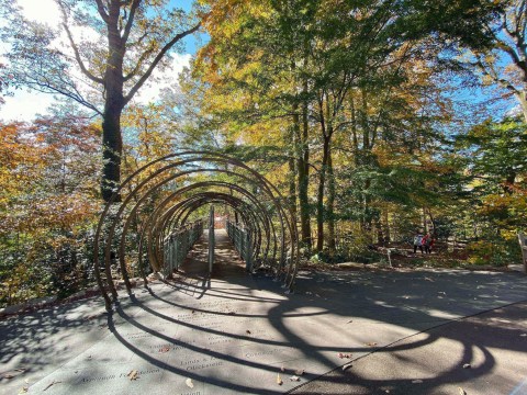 The Longest Elevated Canopy Walk In Pennsylvania Can Be Found At Morris Arboretum
